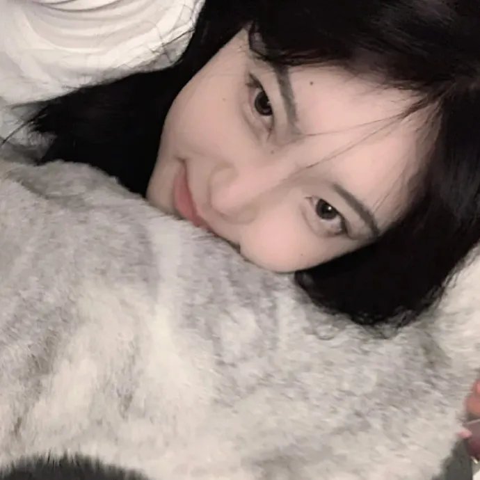 鹰与枭